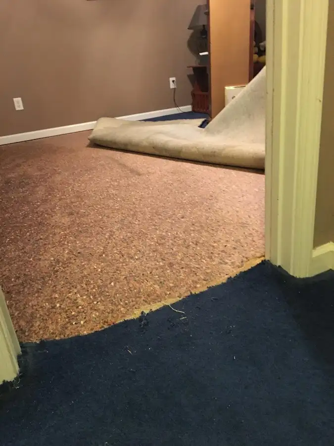 Carpet pad removal revealing water damage during Drying & Dehumidification in Plainview